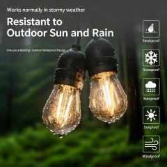 S14 Outdoor LED Light String 24V/220V IP67 Waterproof - Can be connected in series, suitable for garden, wedding decoration and Christmas decorations.,murenled,Wholesale S14 Outdoor Waterproof LED Light Strings
