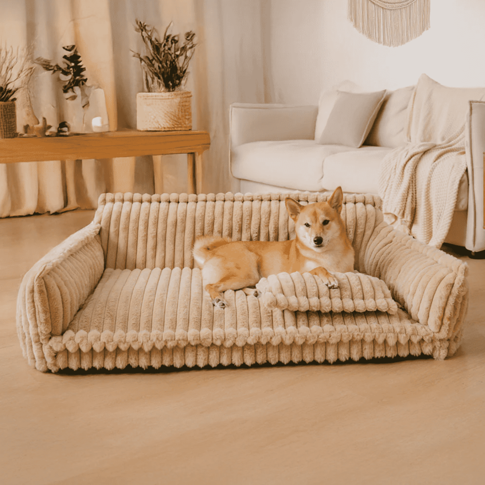 Zozooy Corduroy Sofa Bed