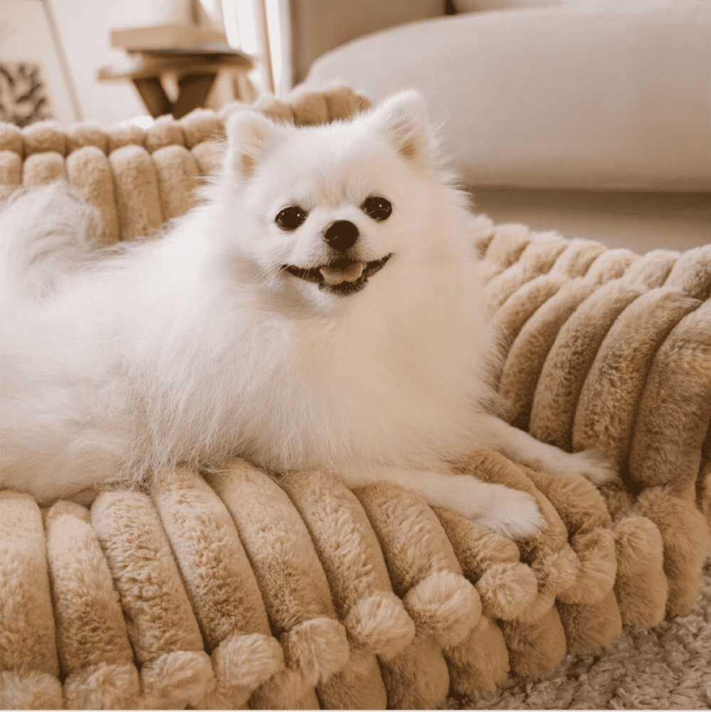 Zozooy Corduroy Sofa Bed