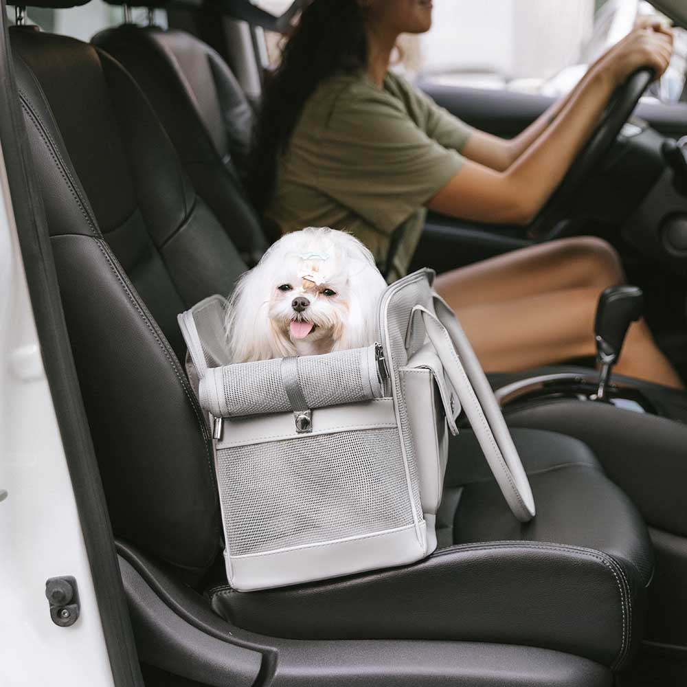 Zoozoy Breathable Mesh Lightweight Pet Carrier