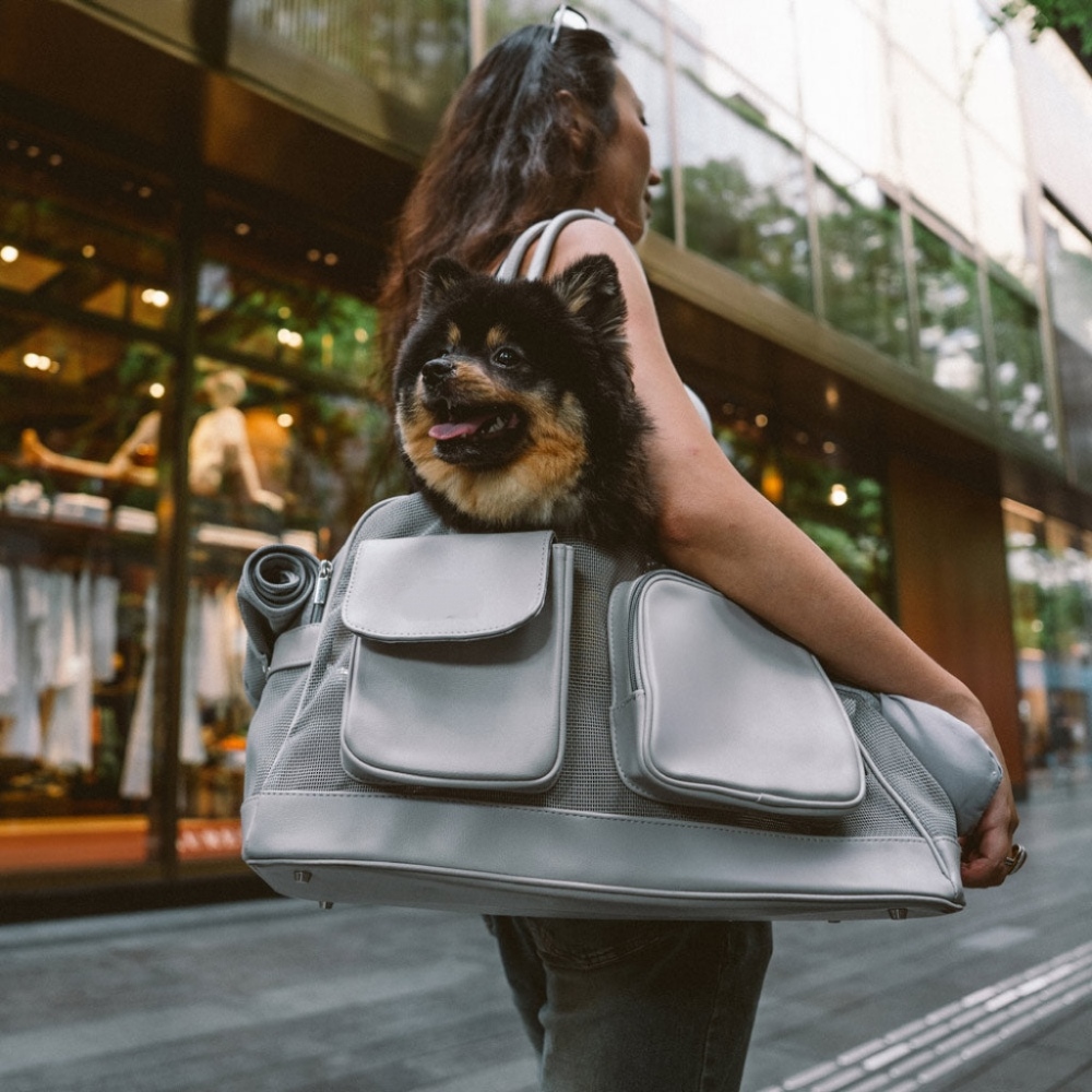 Zoozoy Breathable Mesh Lightweight Pet Carrier