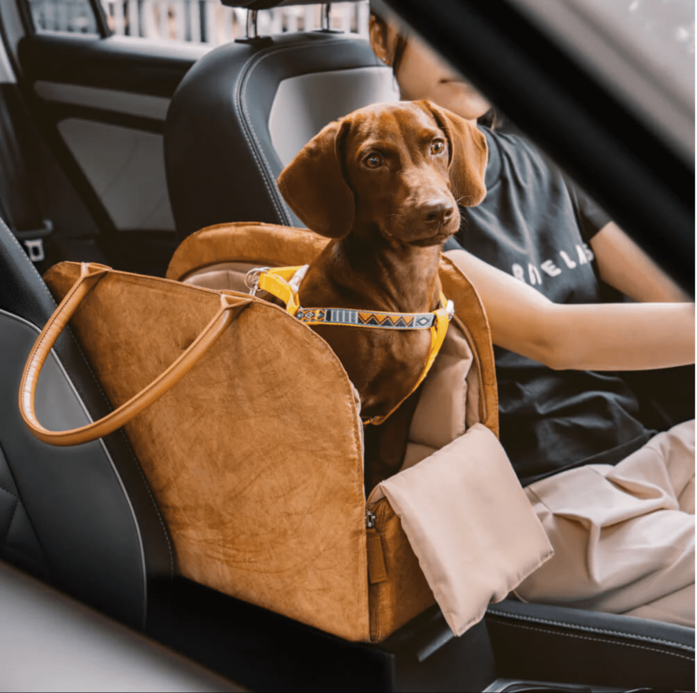 Zozooy Fashionable And Eco-Friendly Pet Travel Bag