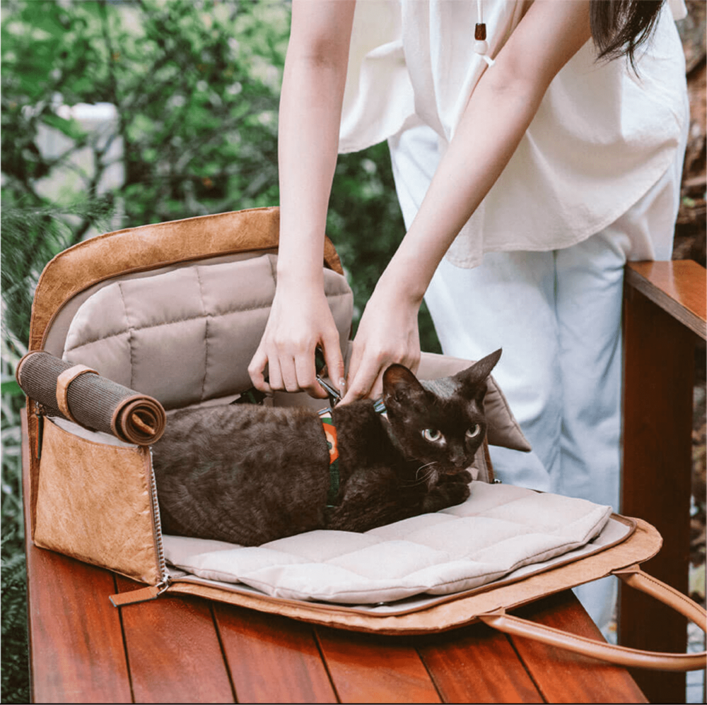 Zozooy Fashionable And Eco-Friendly Pet Travel Bag