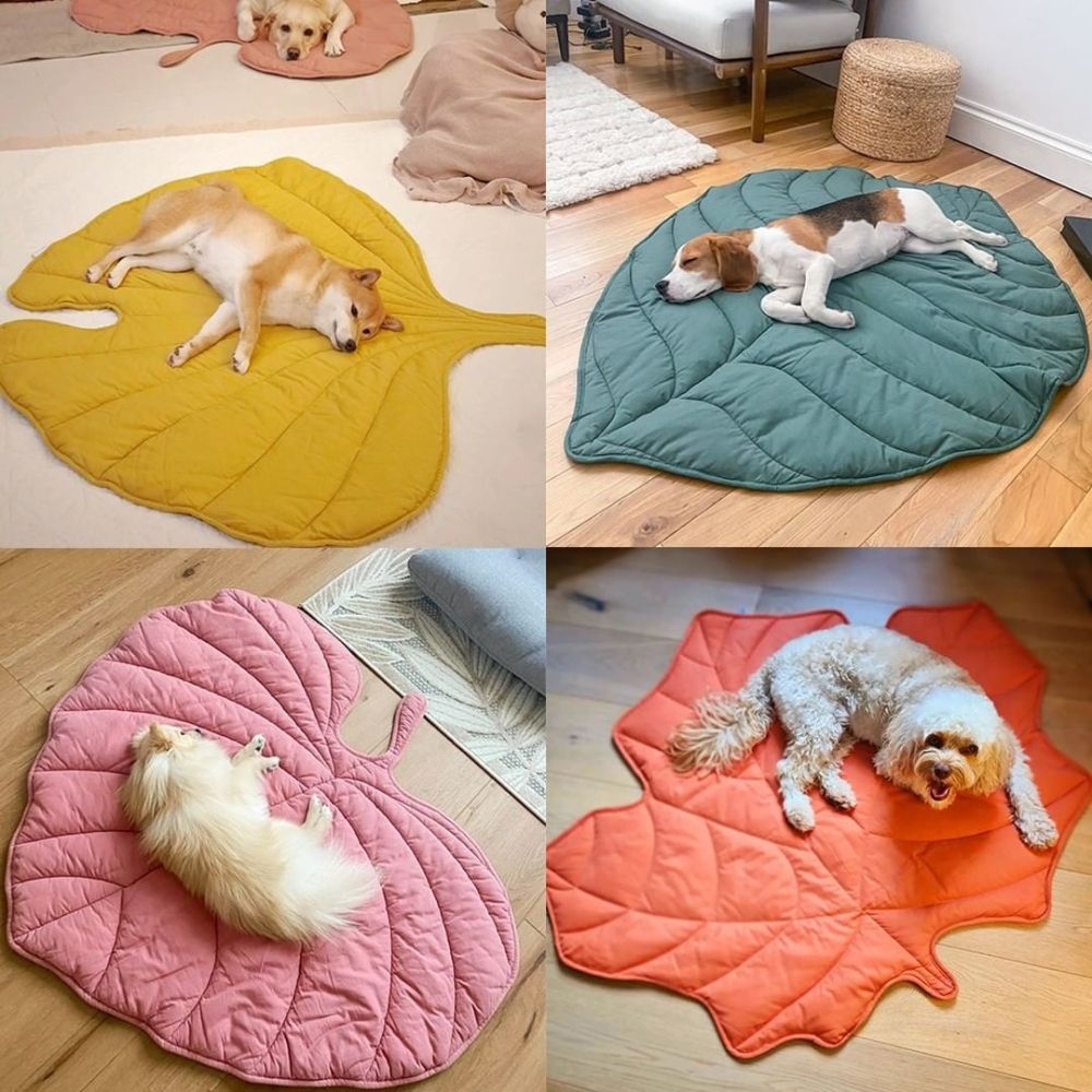 Zozooy Leaf-shaped Mat