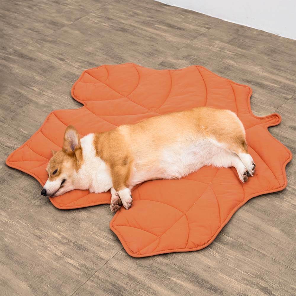 Zozooy Leaf-shaped Mat