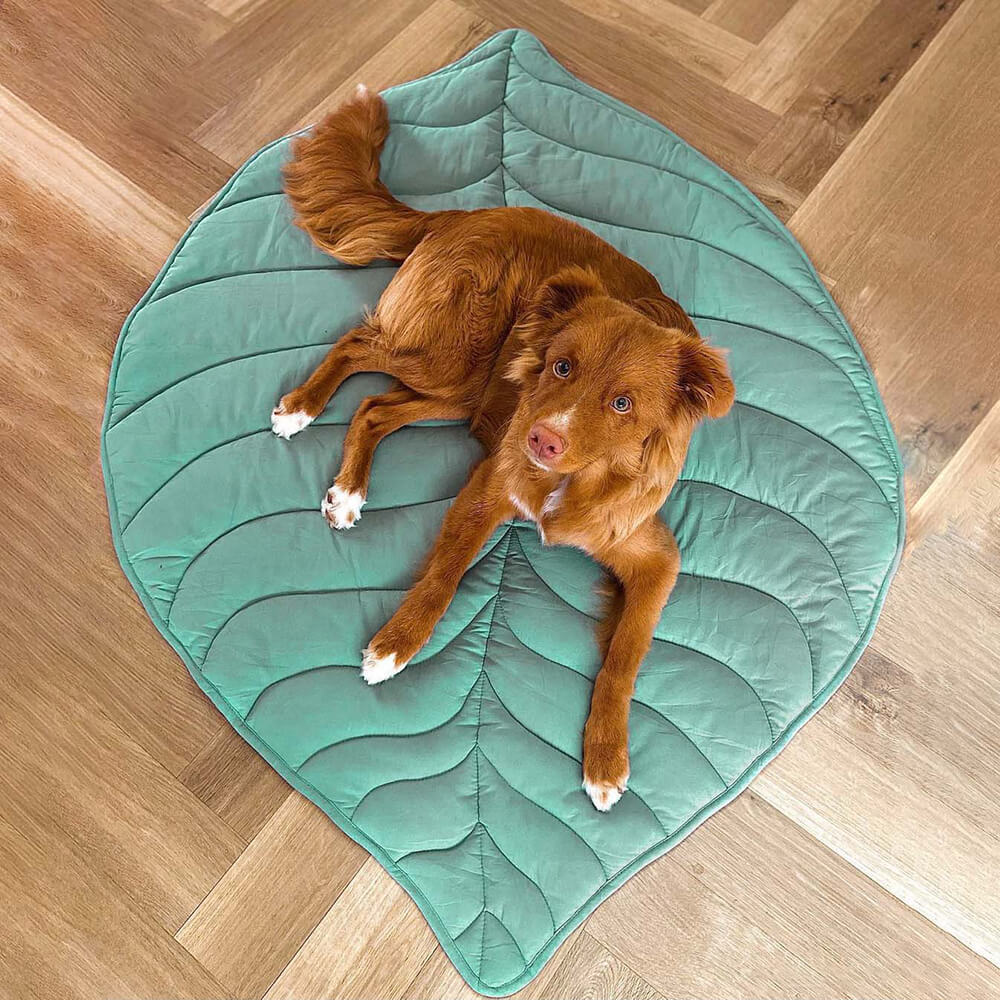 Zozooy Leaf-shaped Mat