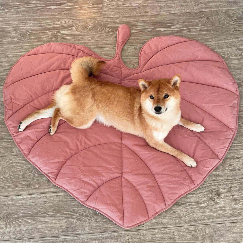 Zozooy Leaf-shaped Mat