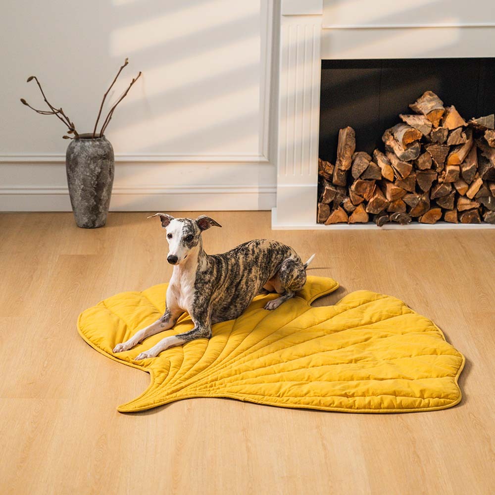 Zozooy Leaf-shaped Mat