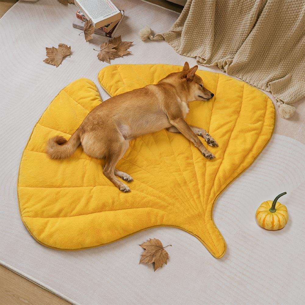 Zozooy Short Velvet Cushion - Leaf Shape