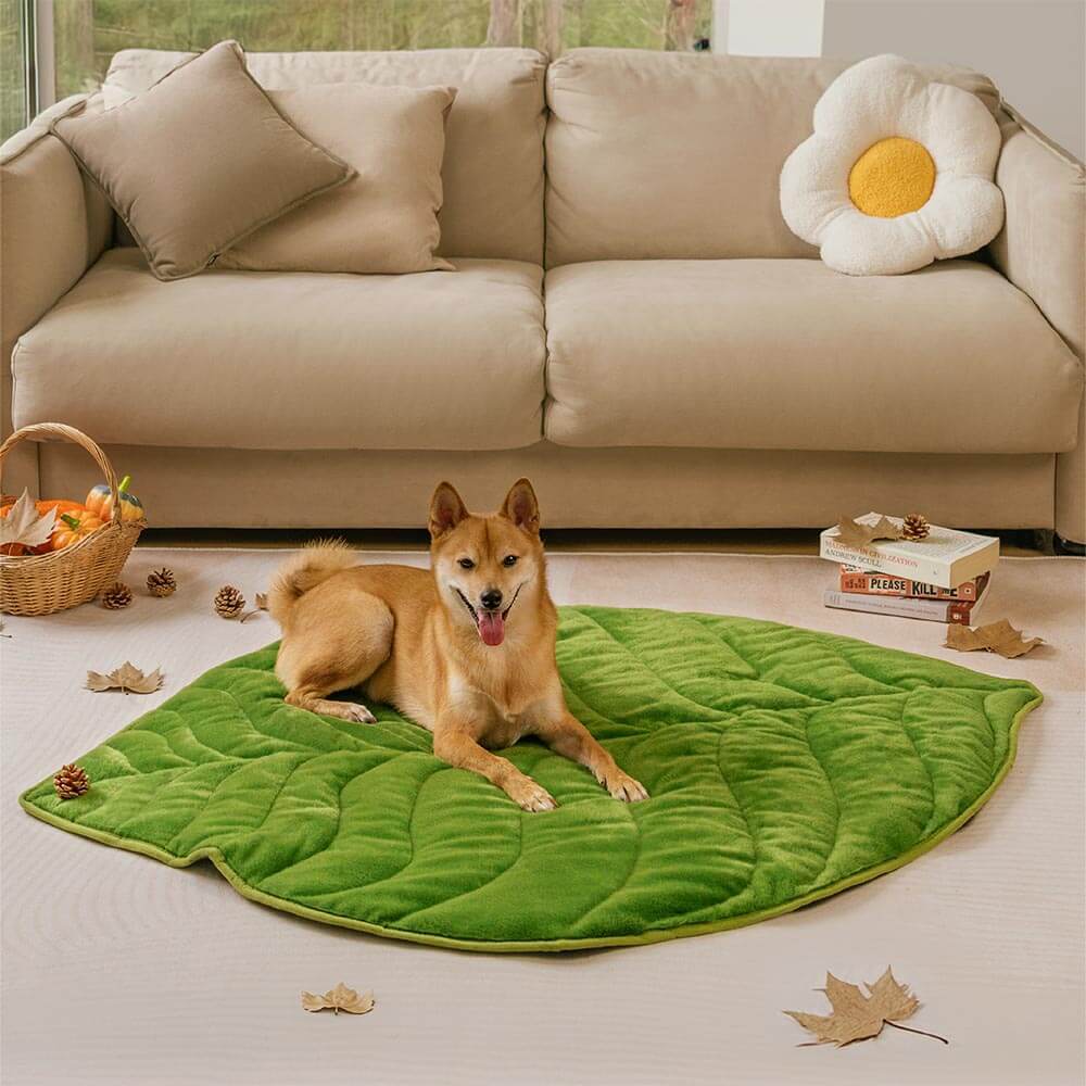 Zozooy Short Velvet Cushion - Leaf Shape