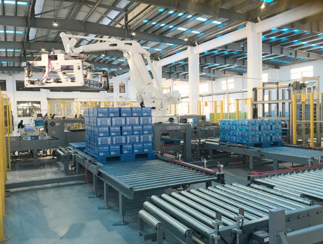 Robotic Arm,Hanmei Machinery,Robotic Arm