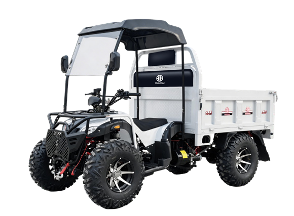 ATV / Quad Bike