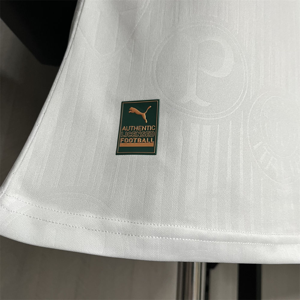 24/25 player Palmeiras away S-4XL