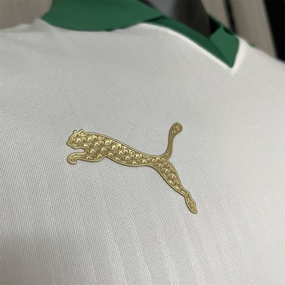 24/25 player Palmeiras away S-4XL