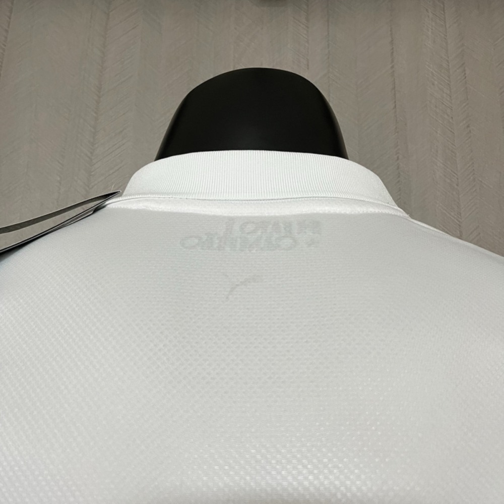 2025/26 Player Palmeiras away jersey S-4XL