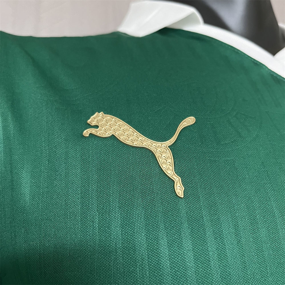 24/25 Player Version Palmeiras Home S-4XL