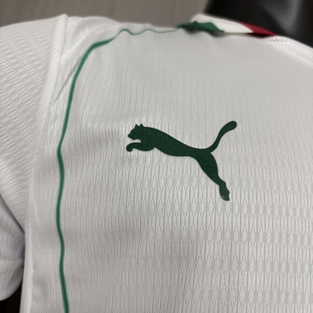 2026/27 Palmeiras Away Jersey Player Version S-3XL