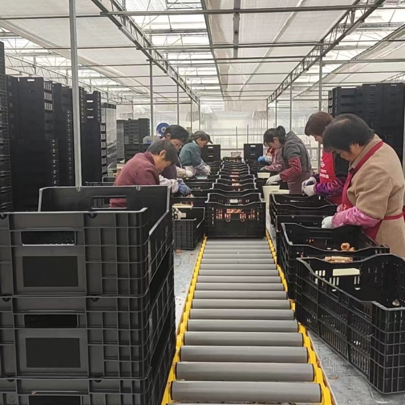 China Custom Plastic Injection Molding Factory, Professional Mold Design & OEM Plastic Component Supplier | PC Instrument Housing Plastic Part,YiDong Plastic,China Custom Plastic Injection Molding Factory, Professional Mold Design & OEM Plastic Component Supplier | PC Instrument Housing Plastic Part