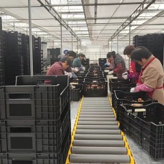 China Custom Plastic Injection Molding Factory, Professional Mold Design & OEM Plastic Component Supplier | PC Instrument Housing Plastic Part,YiDong Plastic,China Custom Plastic Injection Molding Factory, Professional Mold Design & OEM Plastic Component Supplier | PC Instrument Housing Plastic Part