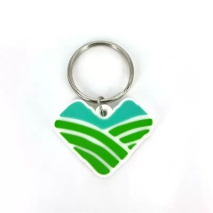Custom logo 3D Relief Resin Eco-friendly Earth PVC Keychain,Kaquanfei,Custom logo 3D Relief Resin Eco-friendly Earth PVC Keychain