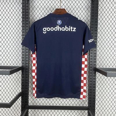 2025/26 Psv Eindhoven Away Jersey