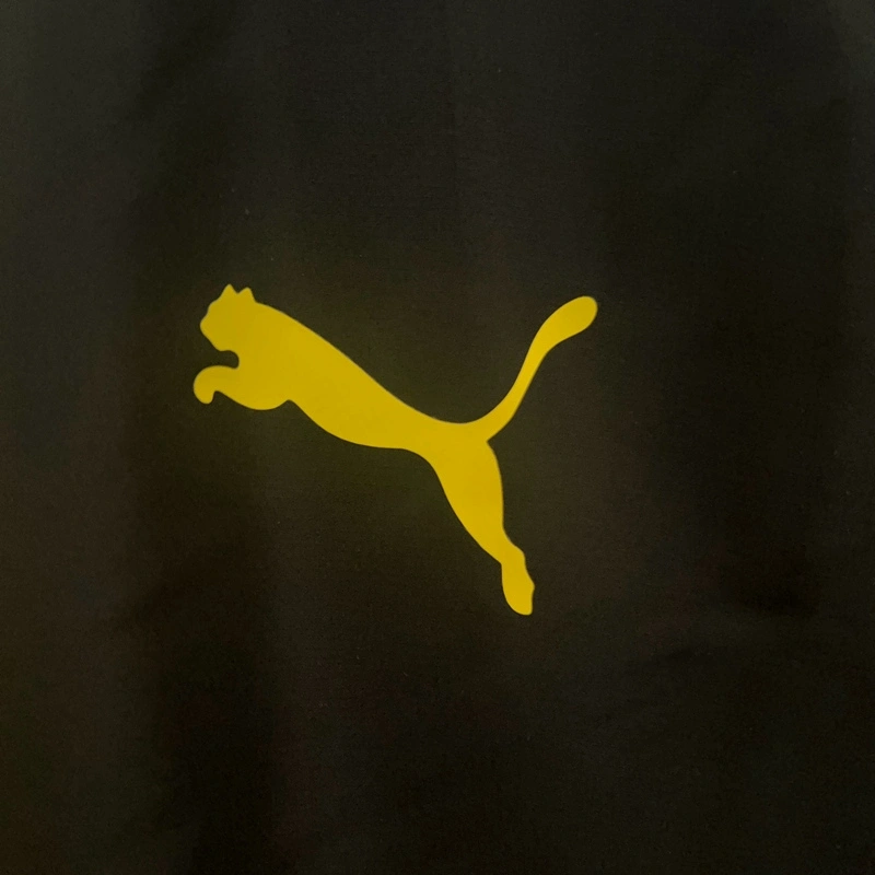 24/25 Dortmund Training Windbreaker