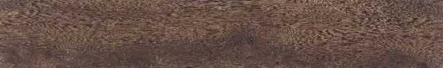 Russian Oak,MY SHOP,Russian Oak