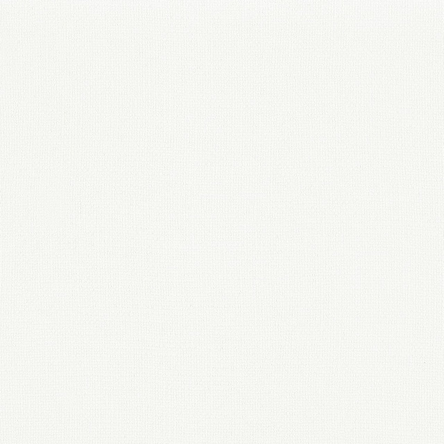 Milk white loop fleece,MY SHOP,Milk white loop fleece