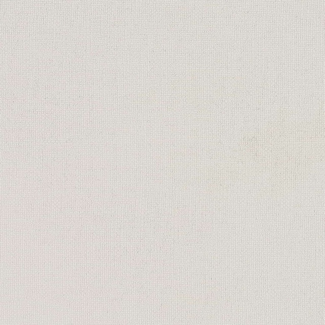 Vanilla cheese,MY SHOP,Vanilla cheese