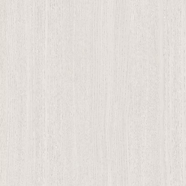 Ash-81364,MY SHOP,Ash-81364