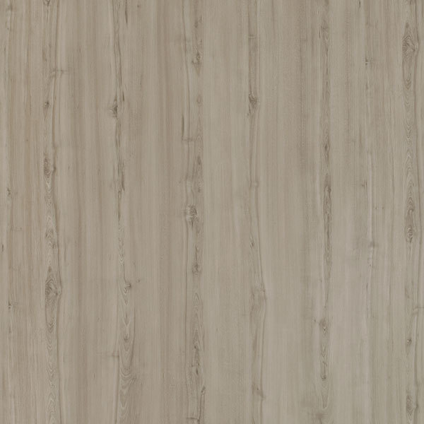 Birch-81218,MY SHOP,Birch-81218