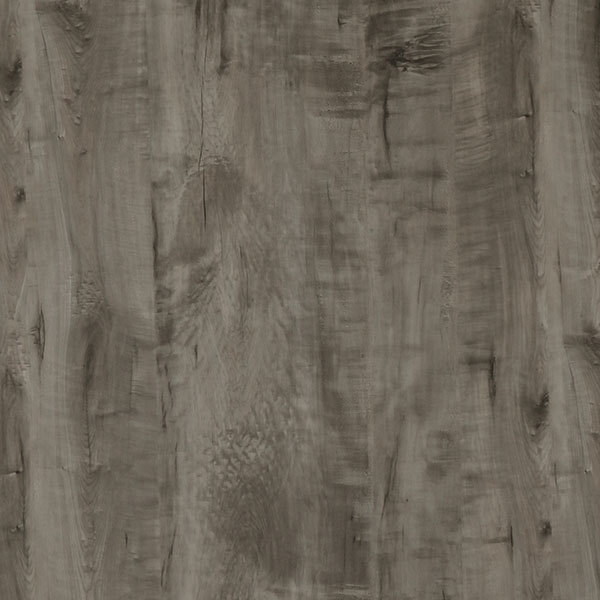 maple-81154,MY SHOP,maple-81154