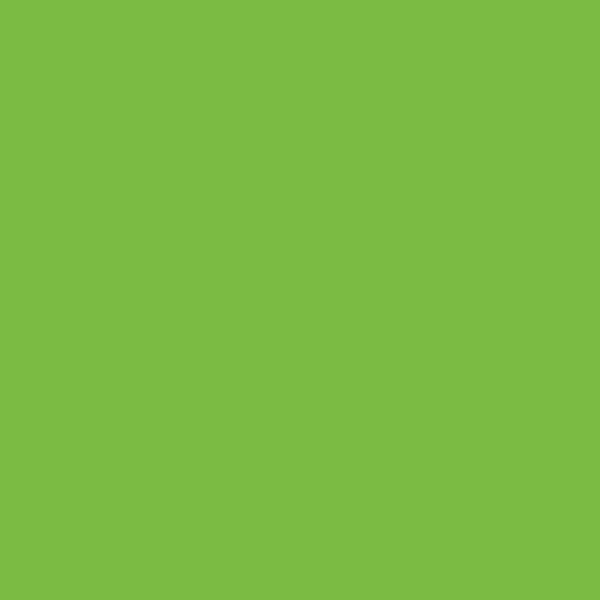 France Green,MY SHOP,France Green