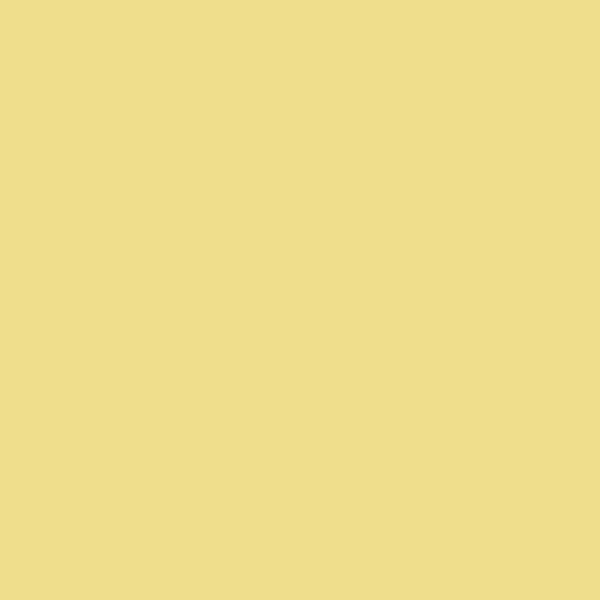Citrus color,MY SHOP,Citrus color