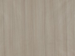 TIANAN Series Same-Color Wall Panels,MY SHOP,EcoCore Structural Panel