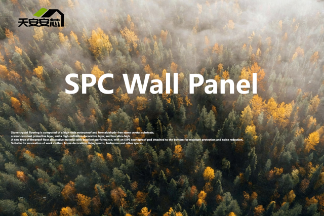 SPC Stone-Plastic Wall Panel,MY SHOP,SPC Stone-Plastic Wall Panel