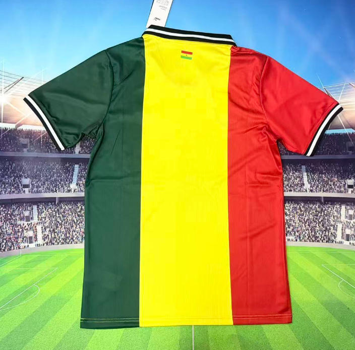 2026 World Cup Ghana Black Stars special Jersey  (Fan version)