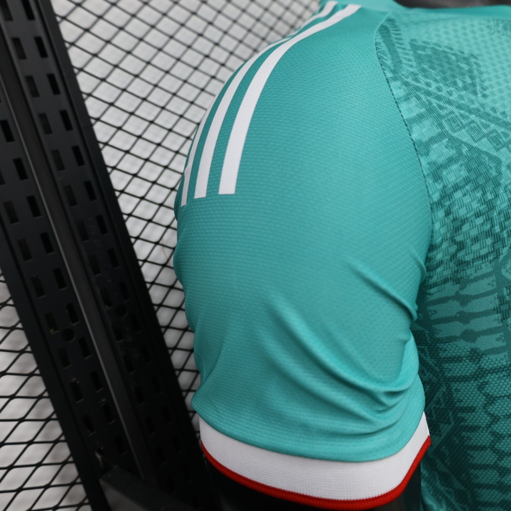 2026 Algeria World Cup Special Edition jersey（player version）
