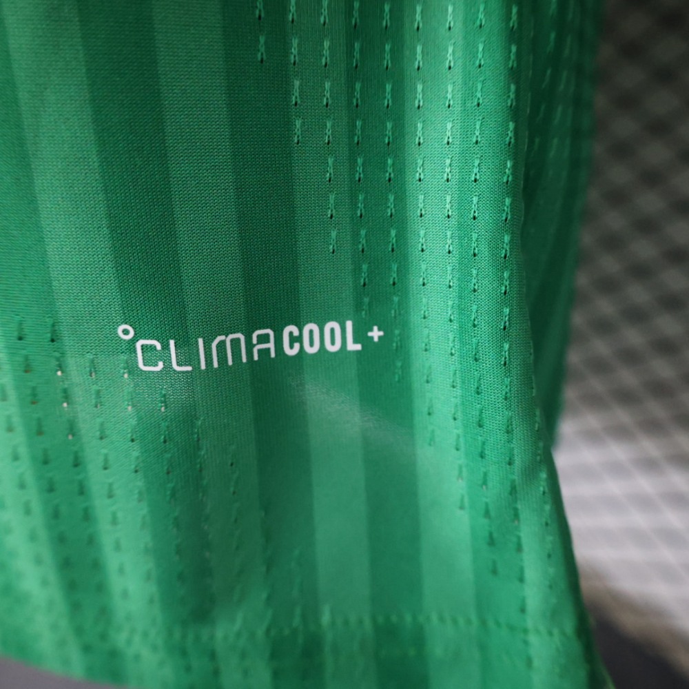 2026 Algeria World Cup away jersey 2-star（player version）
