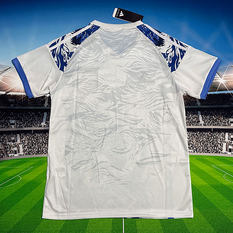 Japan manga version  jersey【30】