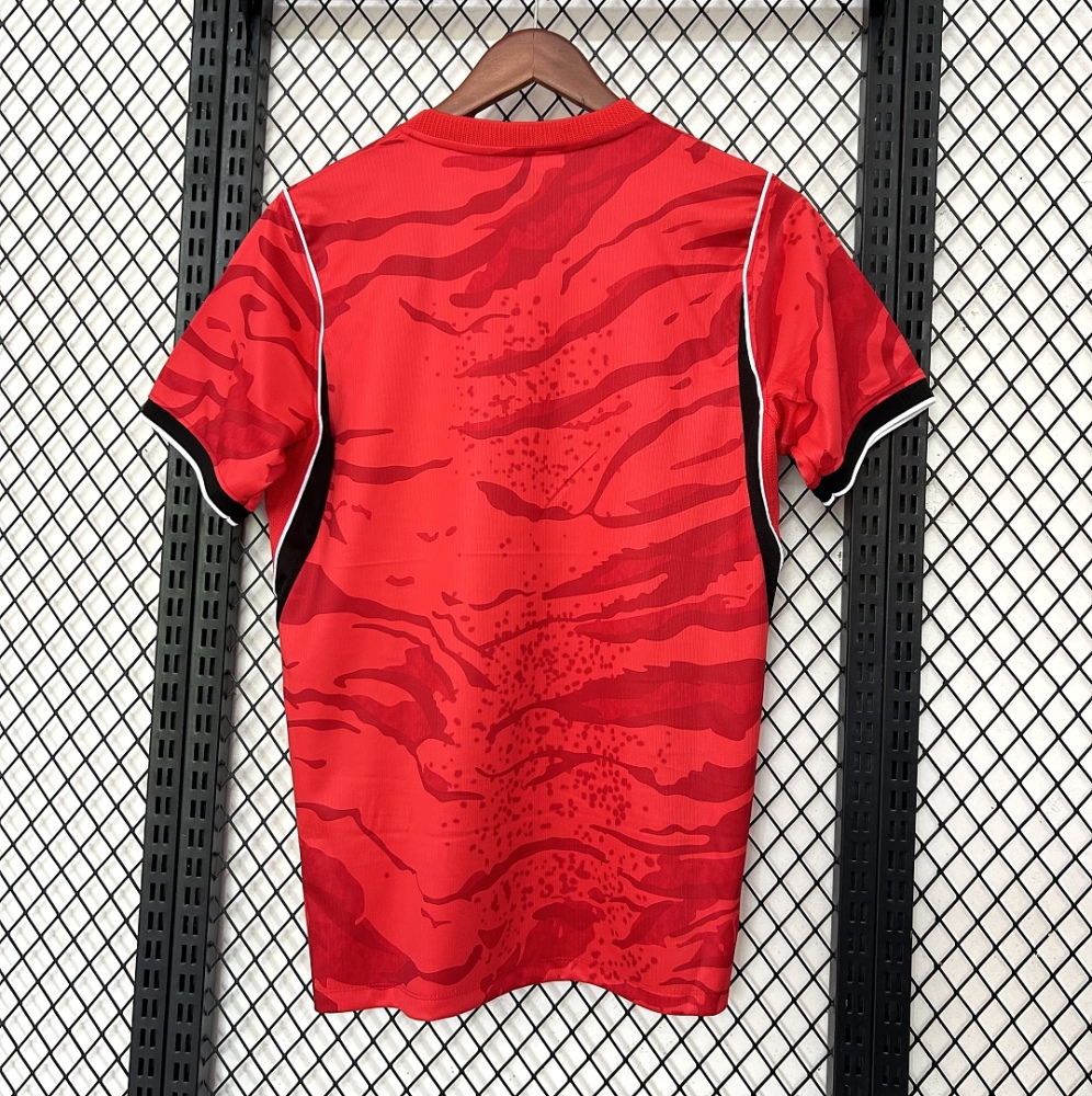 2026 FIFA World Cup South Korea home Fan version