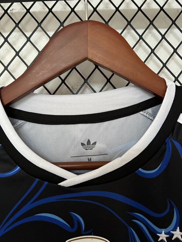 2026 FIFA World Cup Argentina away Fan version