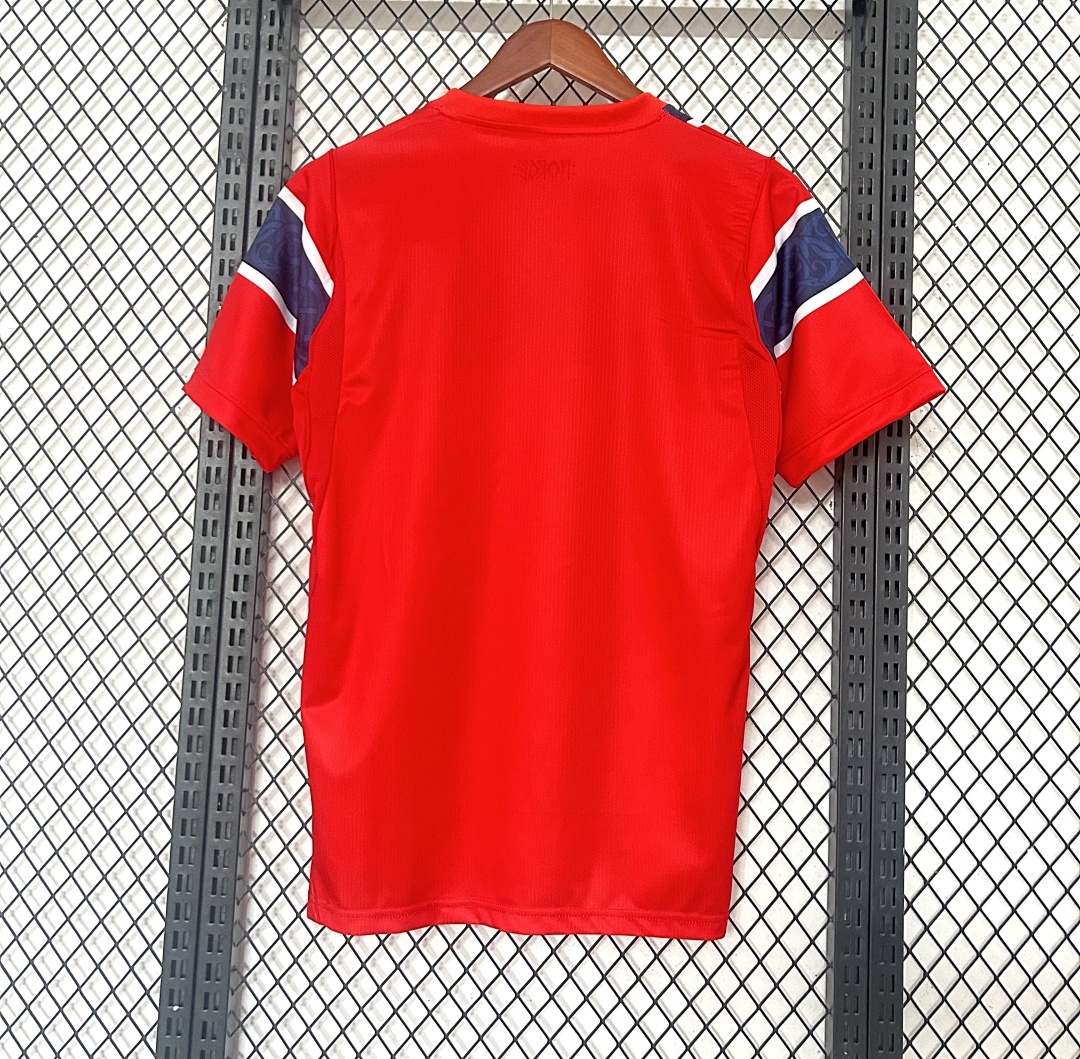 2026 FIFA World Cup Norway home Fan version