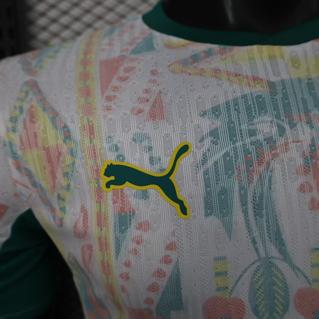 2026 FIFA World Cup Senegal home player version