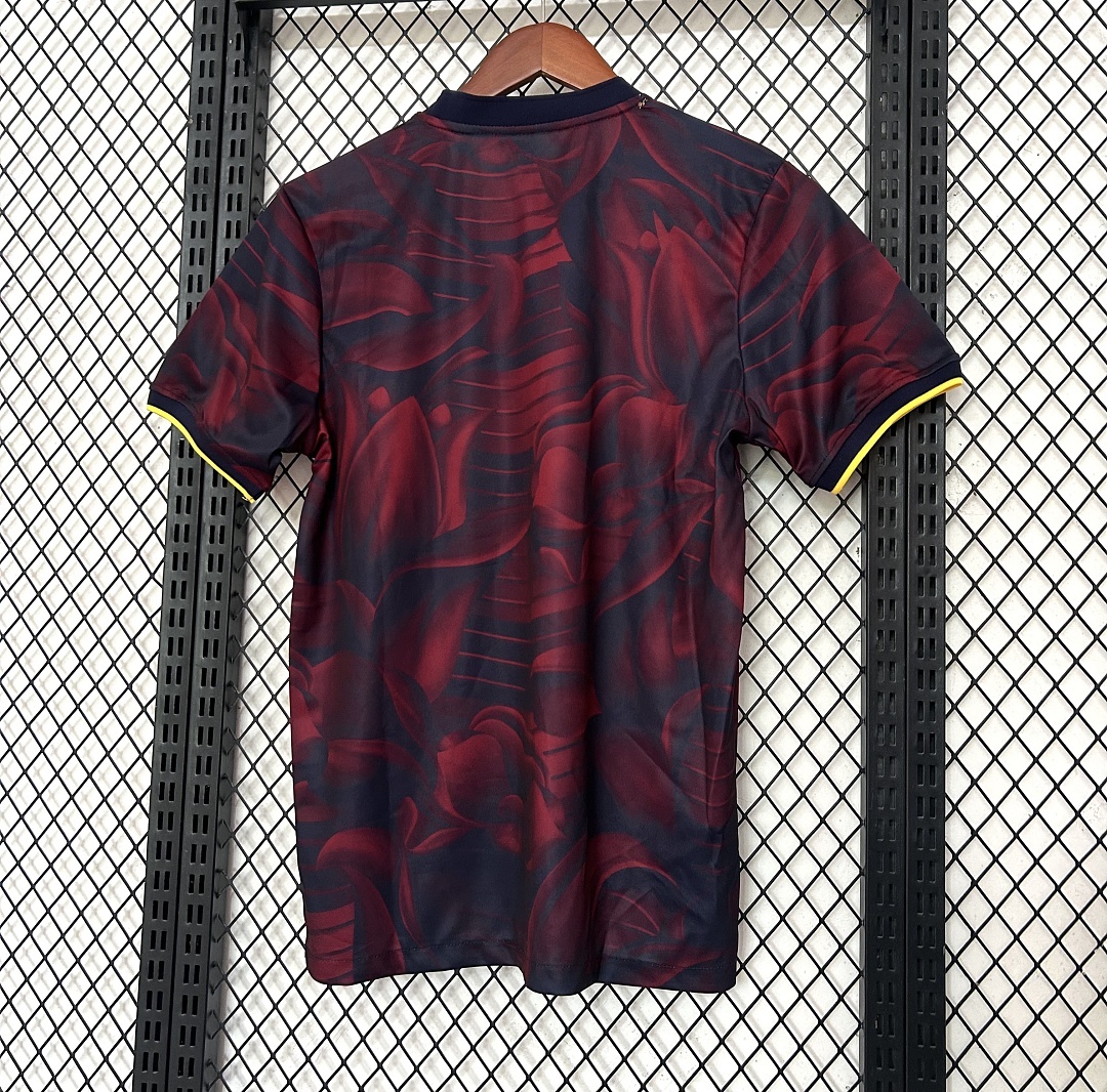 25-26 season Barcelona special edition Fan version