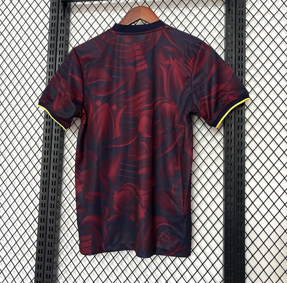 25-26 season Barcelona special edition Fan version