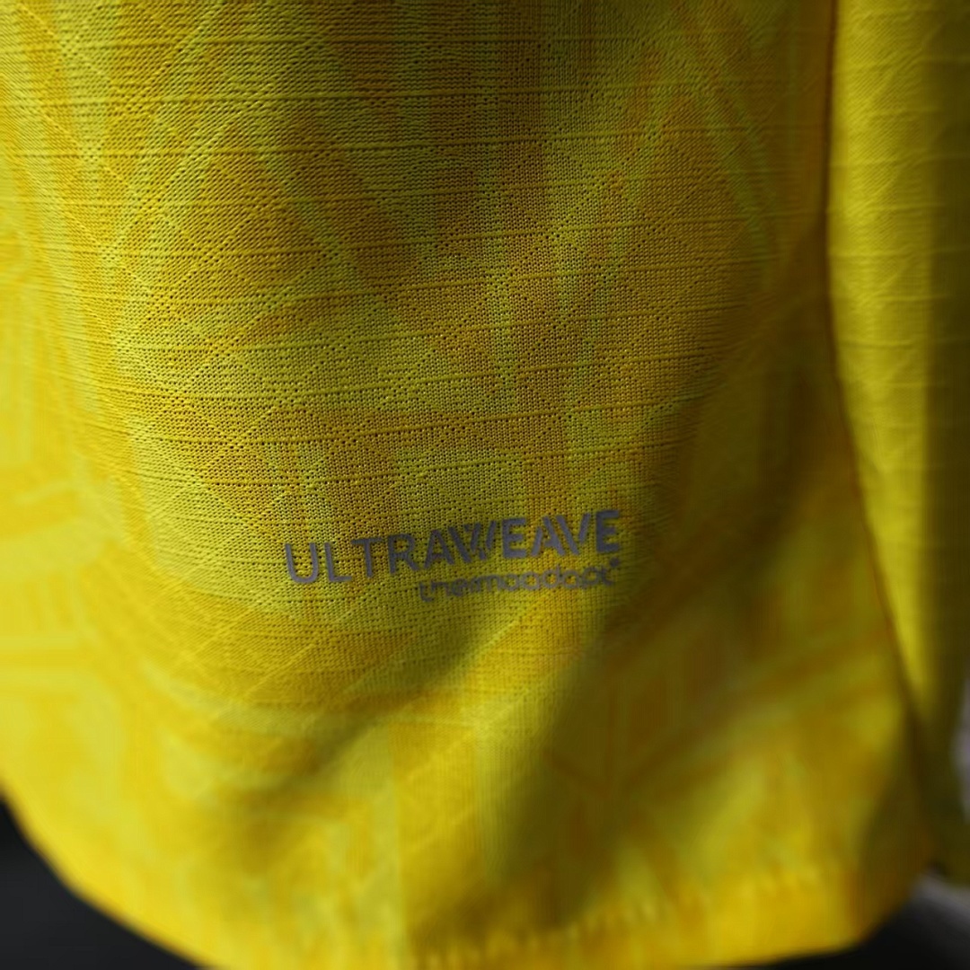 26-27 season Dortmund home player version