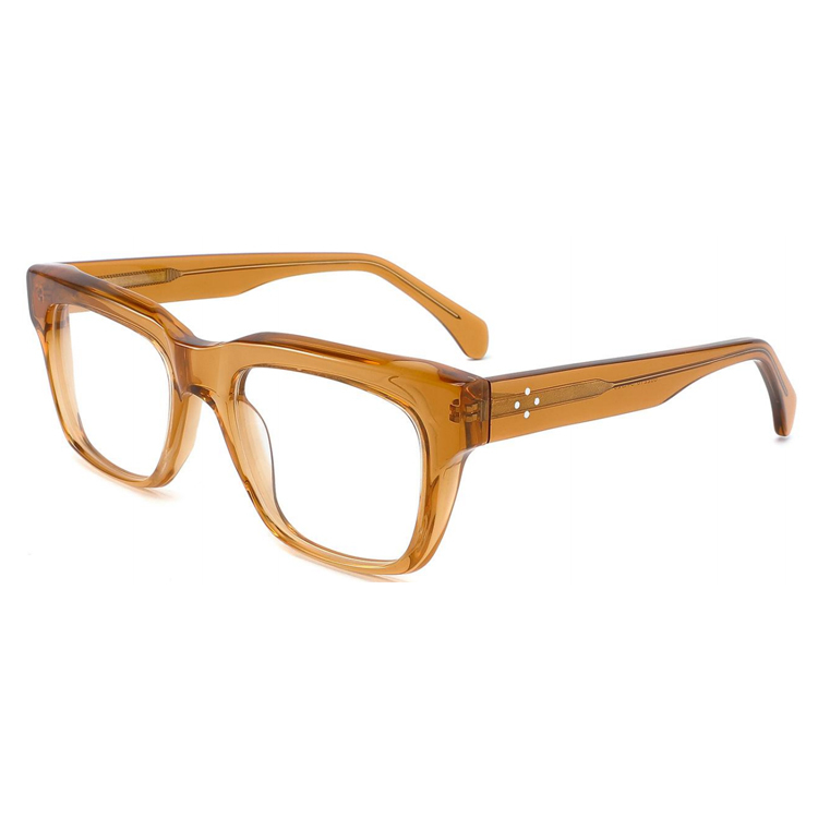 Classic Retro Thick-Rim Acetate Optical Frame 882229