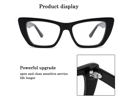 Cat Eye Acetate Women's Optical Frame 8882203
