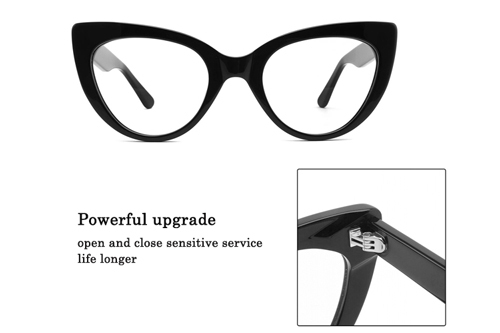 Cat Eye Acetate Women's Optical Frame 882202